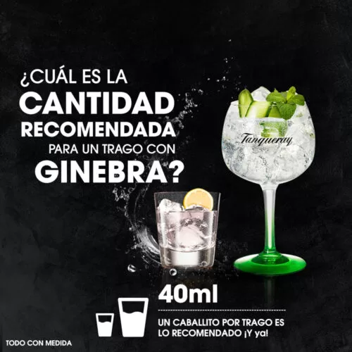 Ginebra Tanqueray London Gin 1750 ml. 5 Ginebra Tanqueray London Gin 750 ml. PERFECT SERVE