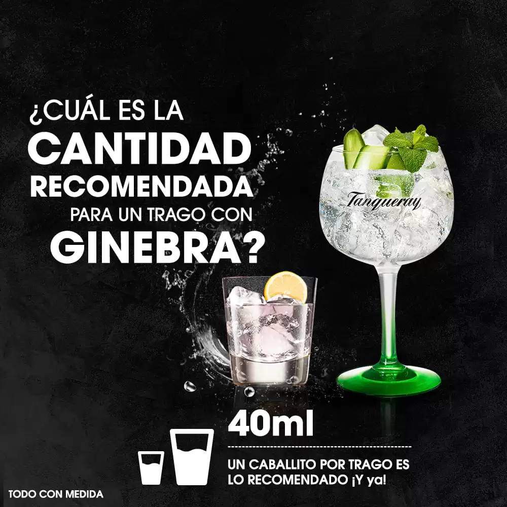 Ginebra Tanqueray London Gin 1750 ml. 3 Ginebra Tanqueray London Gin 750 ml. PERFECT SERVE