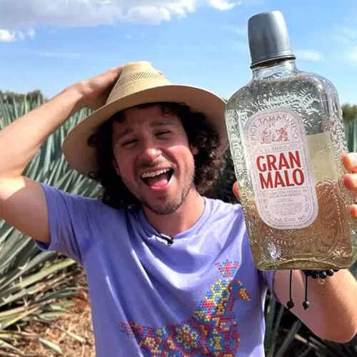 Licor Con Tequila Gran Malo Tamarindo 750 ml. 3 LUISILLO EL PILLO
