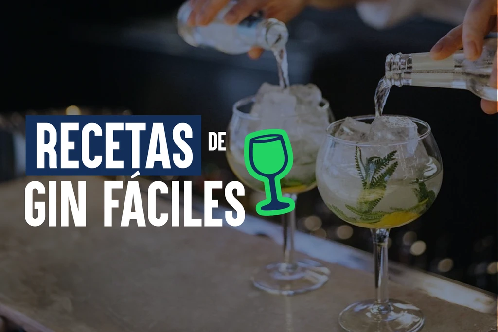 Recetas de Gin Fáciles para Hacer en Casa 1 Recetas gin